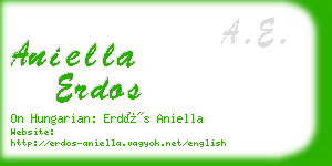 aniella erdos business card